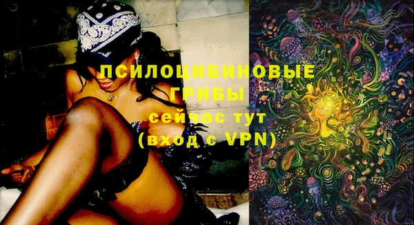 твердый Абинск